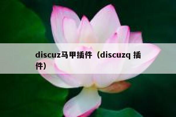 discuz马甲插件（discuzq 插件）