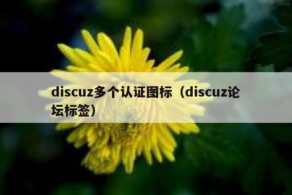 discuz多个认证图标（discuz论坛标签）