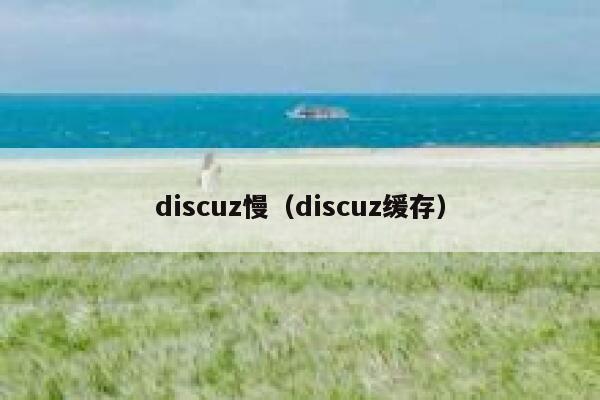 discuz慢（discuz缓存）