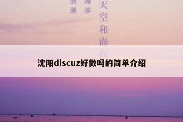 沈阳discuz好做吗的简单介绍 第1张