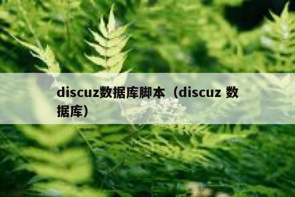 discuz数据库脚本（discuz 数据库）