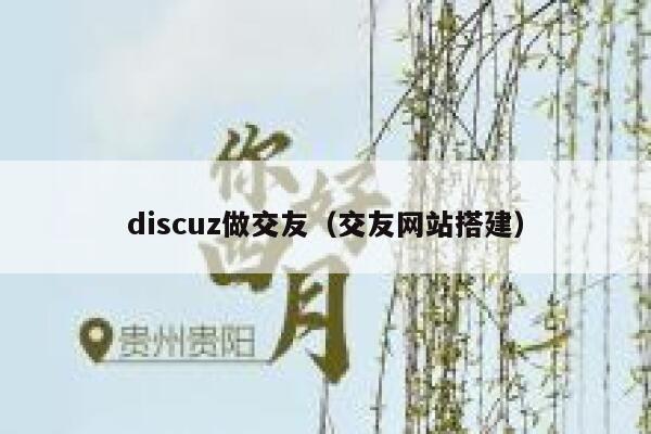 discuz做交友（交友网站搭建）