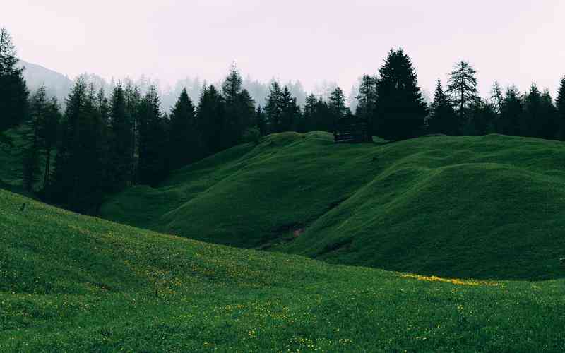 网站建设资质的申请材料有哪些