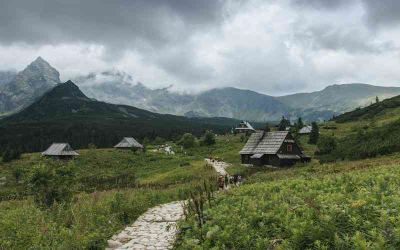 枝江网站建设中如何应对访问量的波动