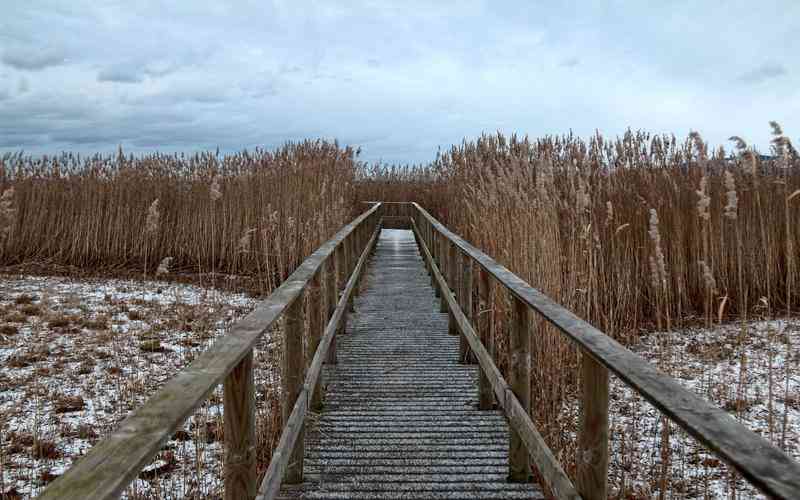 荥阳企业网站建设的周期一般需要多久