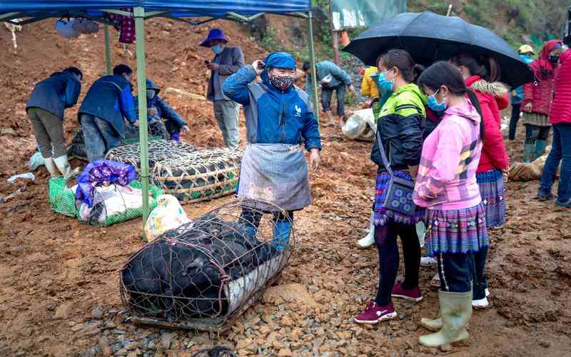 中科宁波网站建设公司如何进行网站内容管理和更新