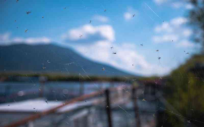 如何与当地合作推进晋中网站建设