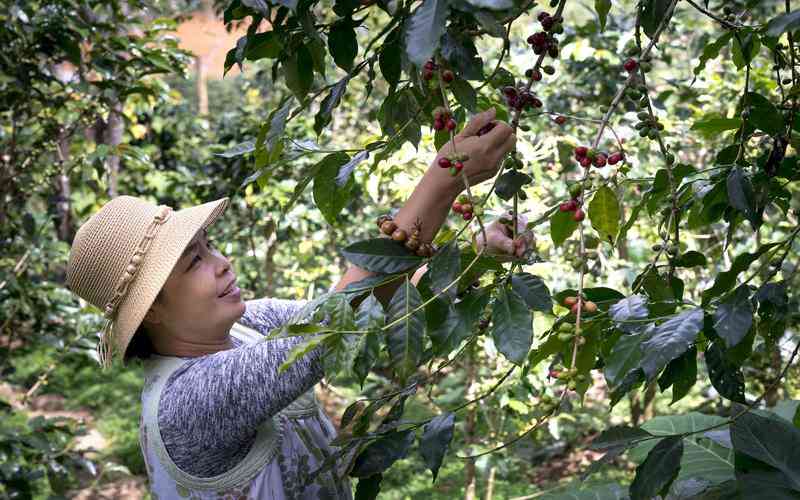 如何在河南选择符合预算的网站建设公司