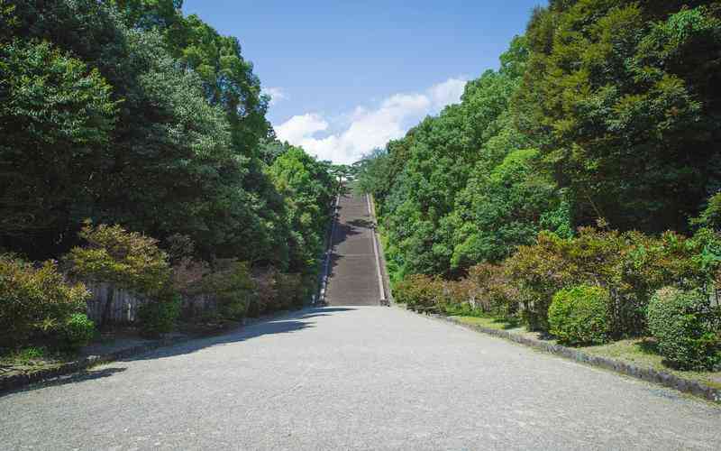 商业网站建设咨询的成功案例有哪些