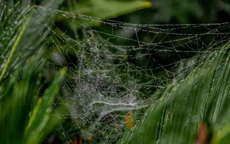 空间网站建设的特点有哪些