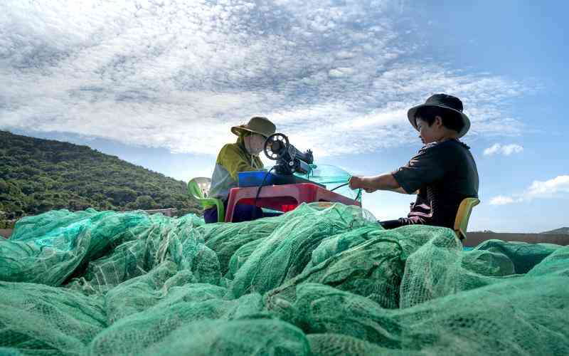 桂林网站建设如何处理项目的售后服务