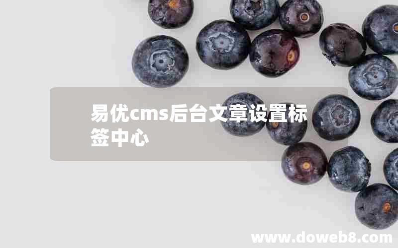 易优cms后台文章设置标签中心