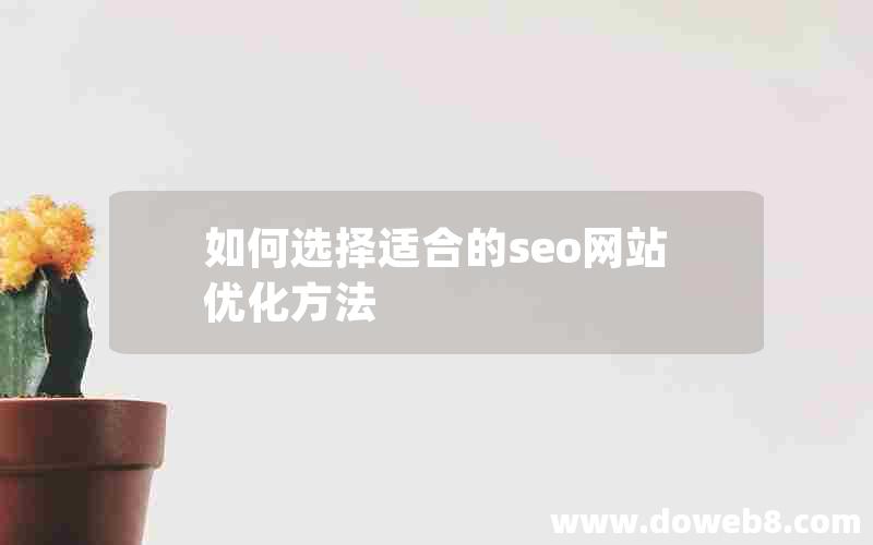 如何选择适合的seo网站优化方法