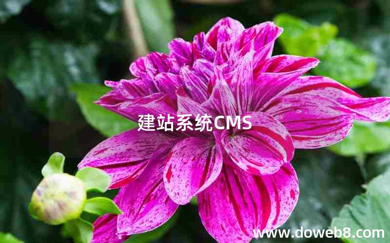 建站系统CMS