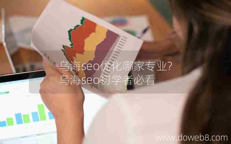 乌海seo优化哪家专业?乌海seo初学者必看