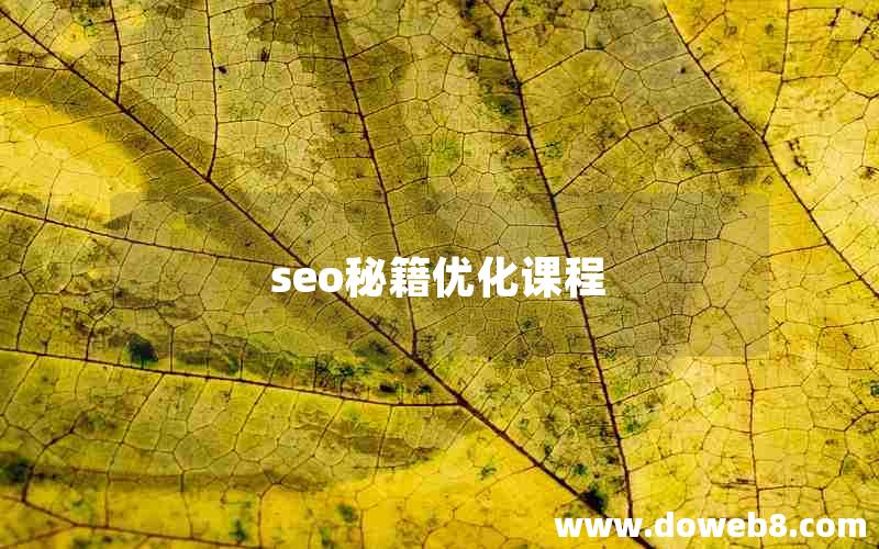 seo秘籍优化课程