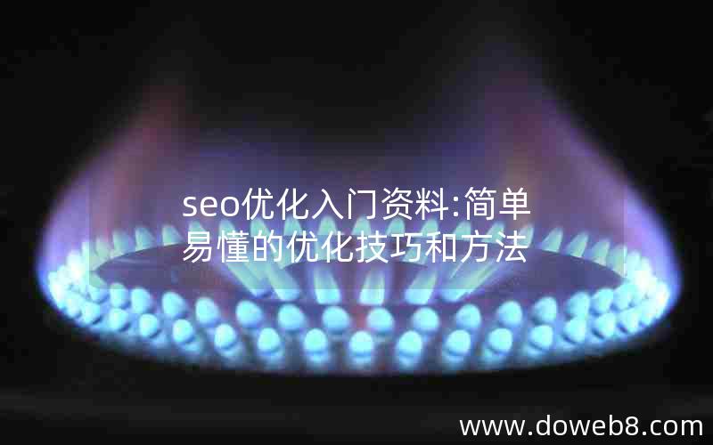 seo优化入门资料:简单易懂的优化技巧和方法