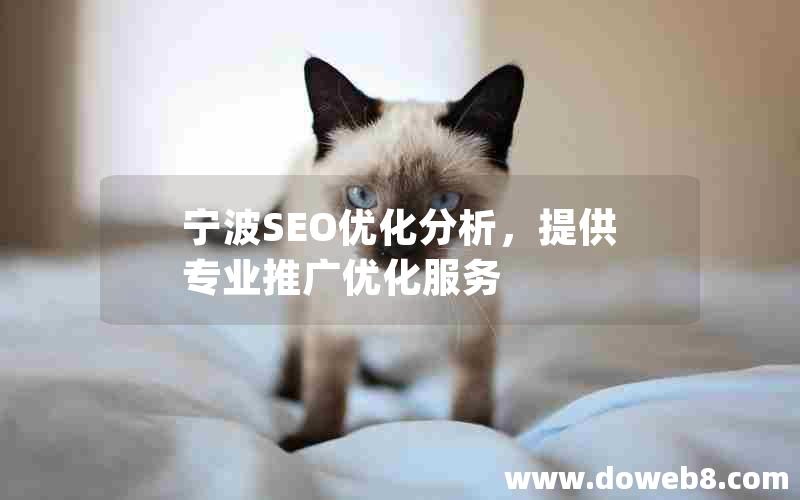 宁波SEO优化分析，提供专业推广优化服务