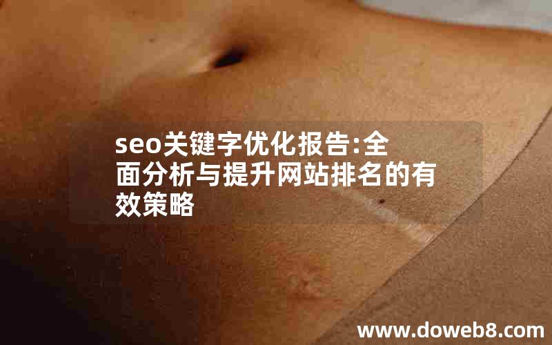 seo关键字优化报告:全面分析与提升网站排名的有效策略