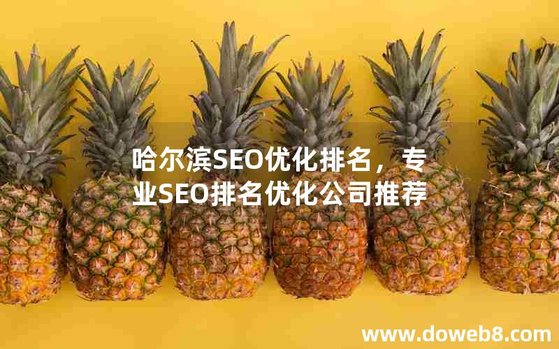 哈尔滨SEO优化排名，专业SEO排名优化公司推荐