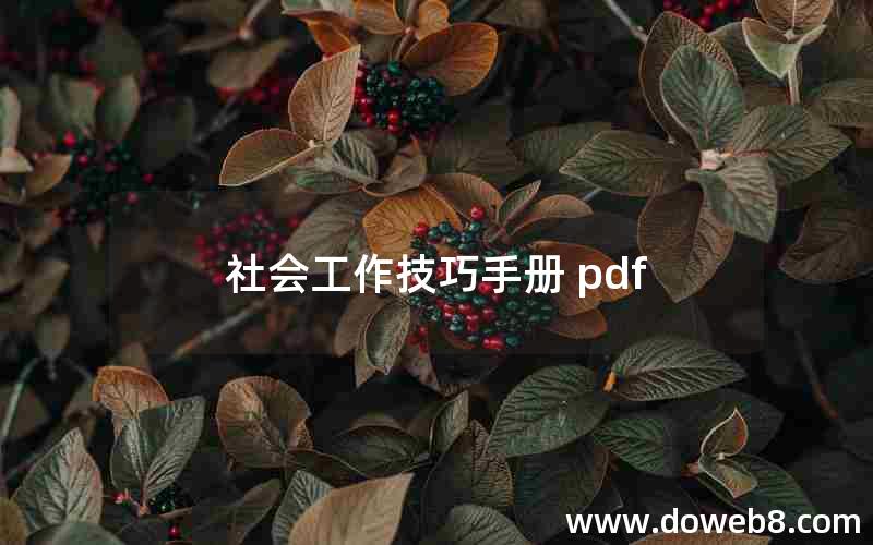 社会工作技巧手册 pdf