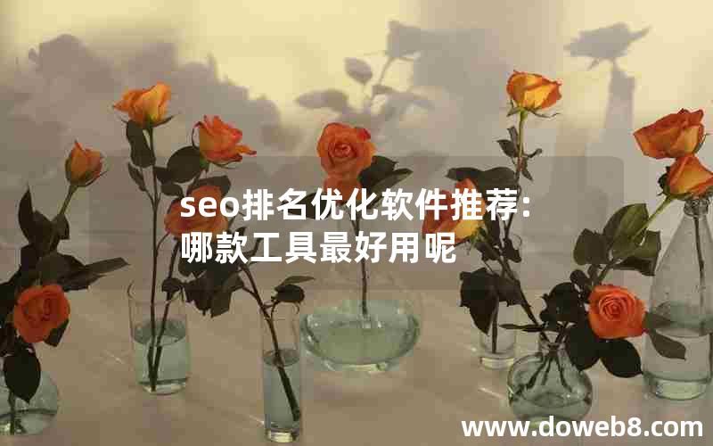 seo排名优化软件推荐:哪款工具最好用呢