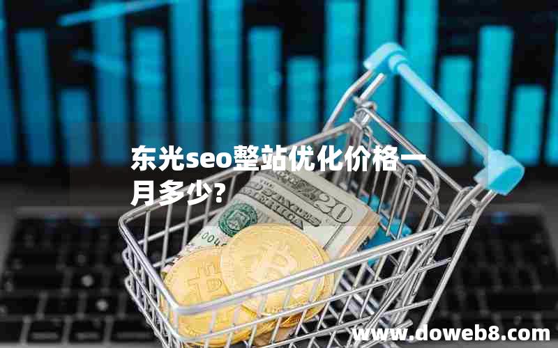 东光seo整站优化价格一月多少?