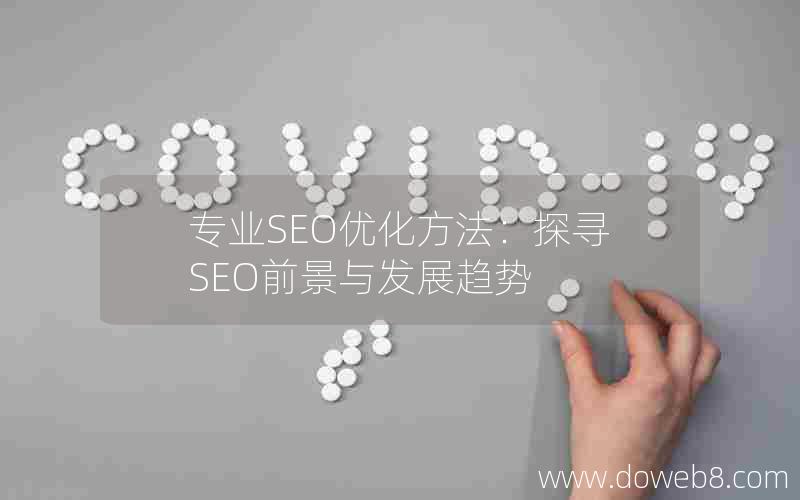 专业SEO优化方法：探寻SEO前景与发展趋势