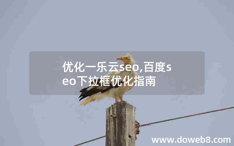 优化一乐云seo,百度seo下拉框优化指南