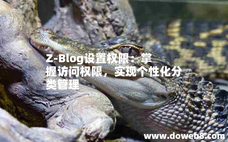 Z-Blog设置权限：掌握访问权限，实现个性化分类管理