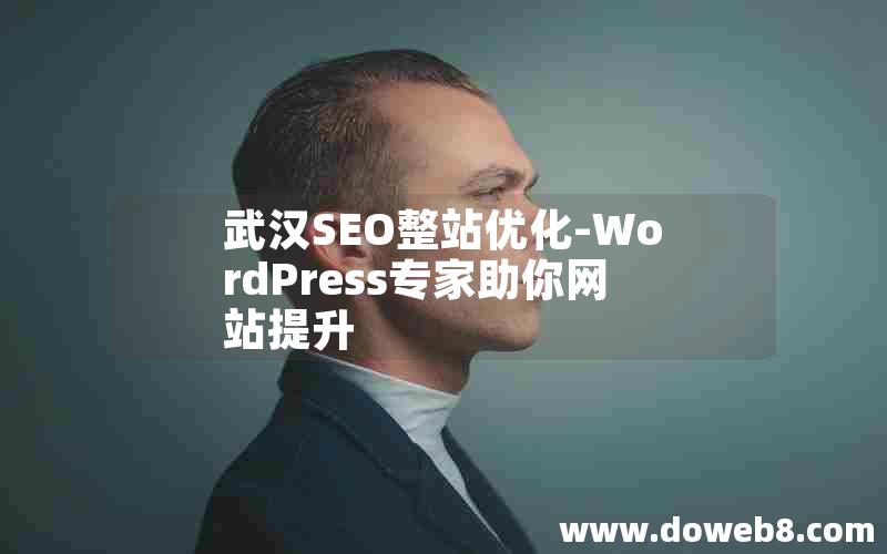 武汉SEO整站优化-WordPress专家助你网站提升