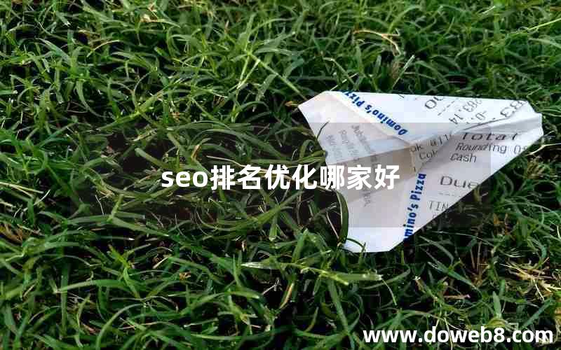 seo排名优化哪家好