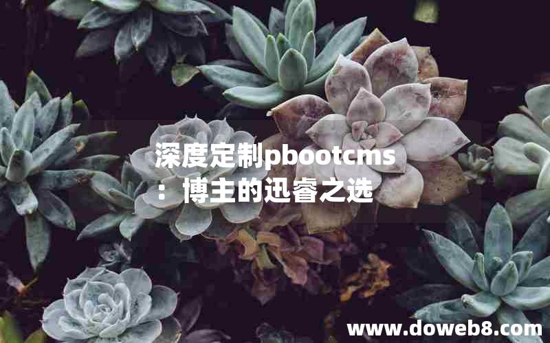 深度定制pbootcms：博主的迅睿之选