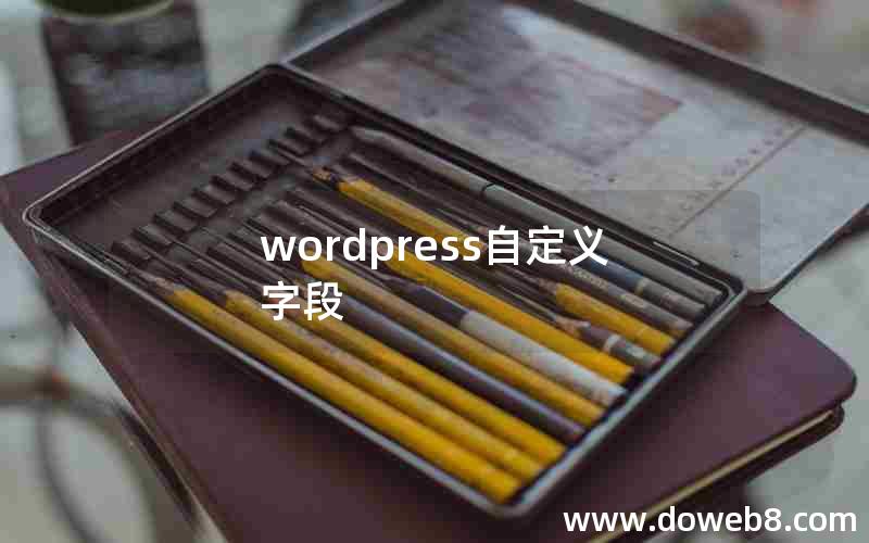 wordpress自定义字段