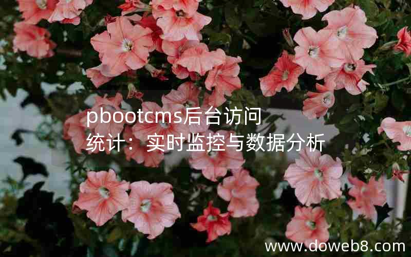 pbootcms后台访问统计：实时监控与数据分析