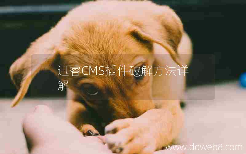 迅睿CMS插件破解方法详解