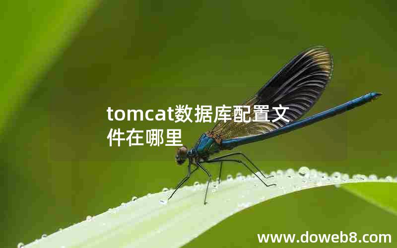 tomcat数据库配置文件在哪里