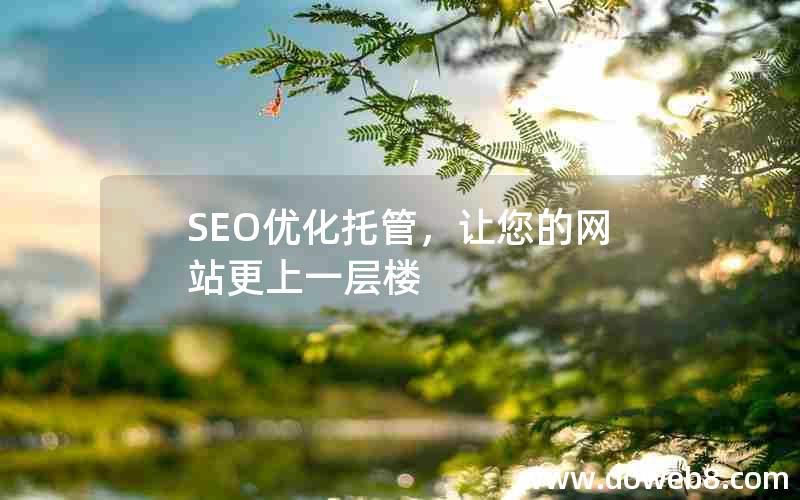 SEO优化托管，让您的网站更上一层楼