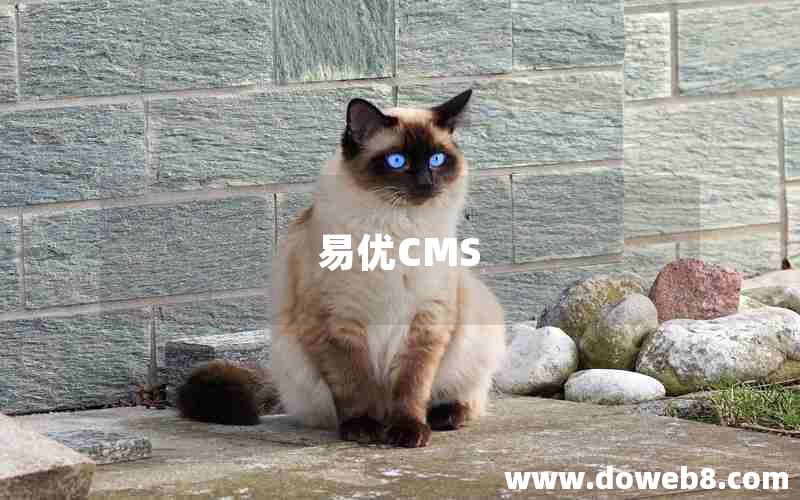 易优CMS