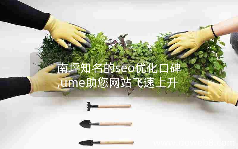 南坪知名的seo优化口碑,ume助您网站飞速上升