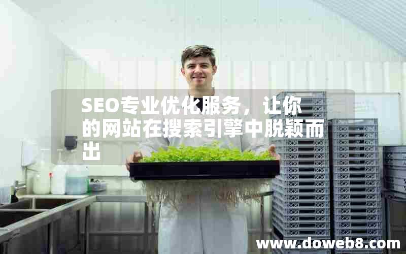 SEO专业优化服务，让你的网站在搜索引擎中脱颖而出