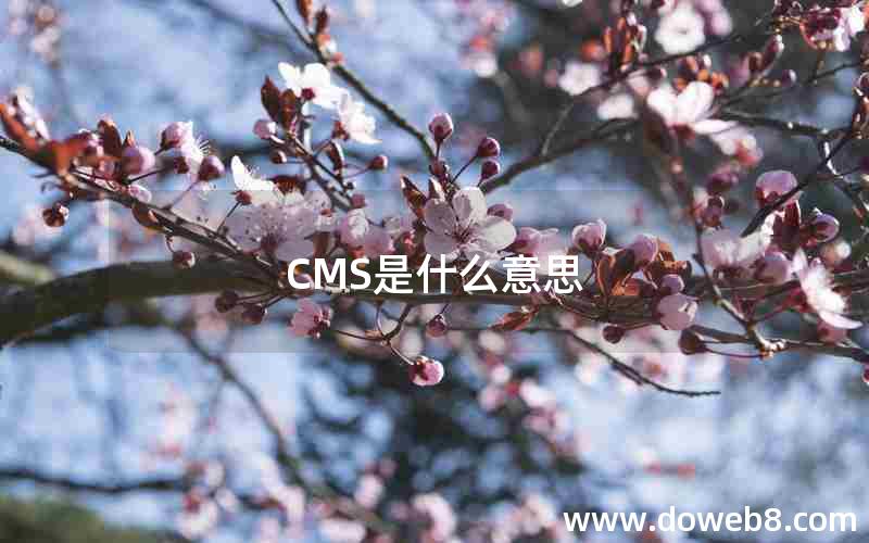 CMS是什么意思