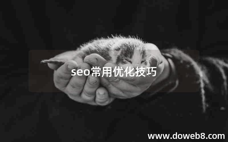 seo常用优化技巧