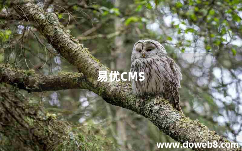 易优CMS