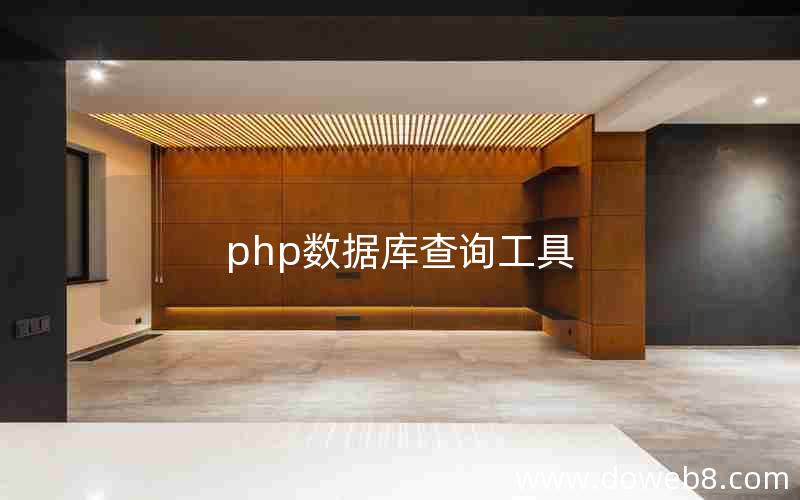 php数据库查询工具