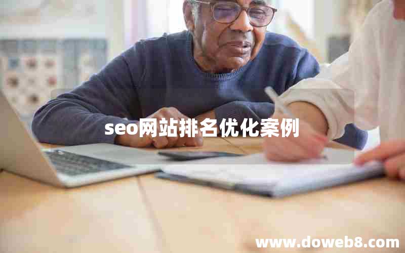 seo网站排名优化案例