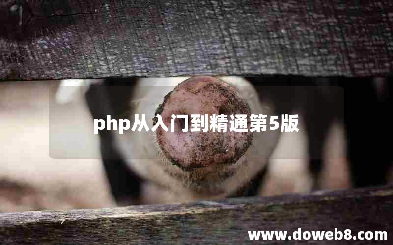 php从入门到精通第5版