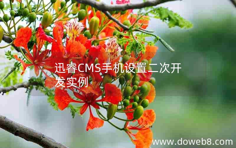 迅睿CMS手机设置二次开发实例