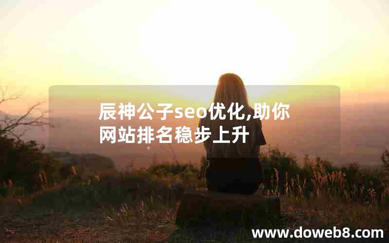 辰神公子seo优化,助你网站排名稳步上升