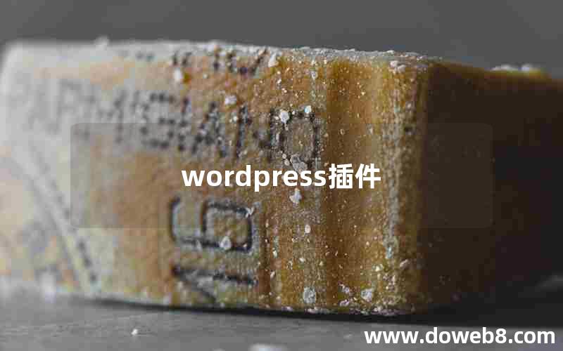 wordpress插件